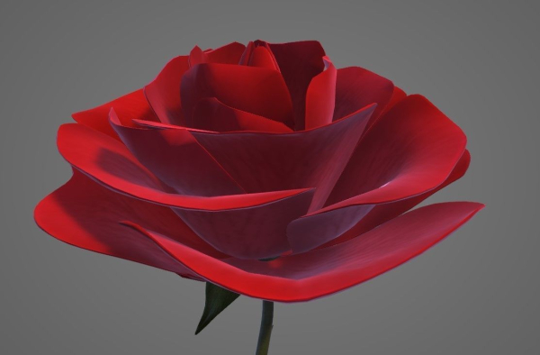 Red Rose