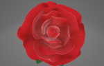 Red Rose