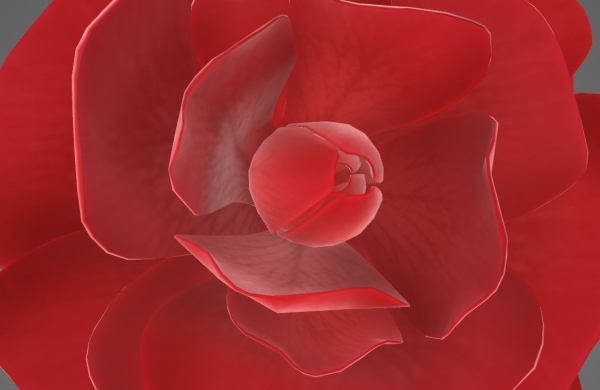 Red Rose