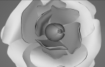 Red Rose
