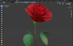 Red Rose