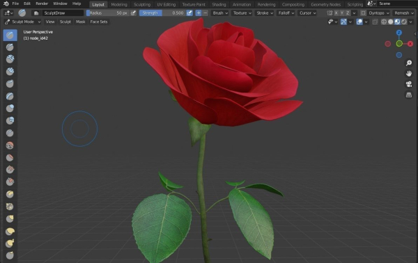 Red Rose
