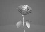 Red Rose