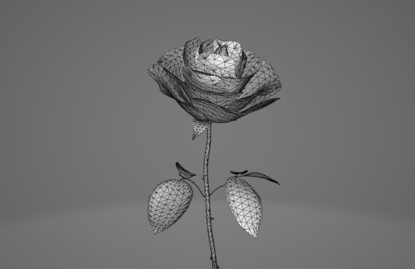Red Rose
