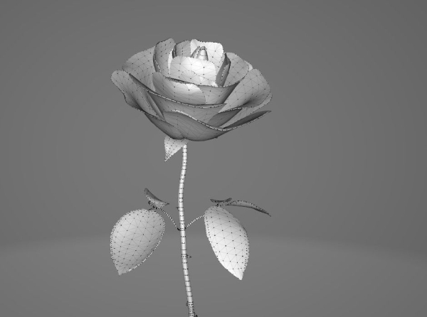 Red Rose