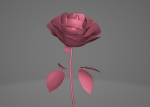 Red Rose