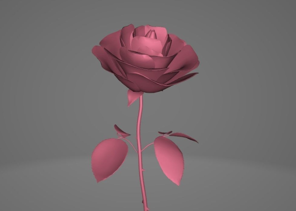 Red Rose