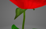 Red Rose