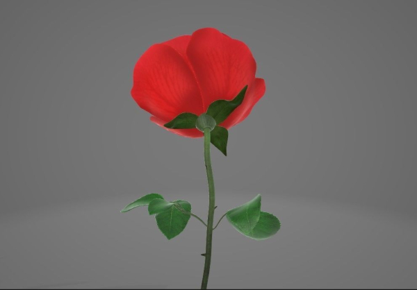 Red Rose