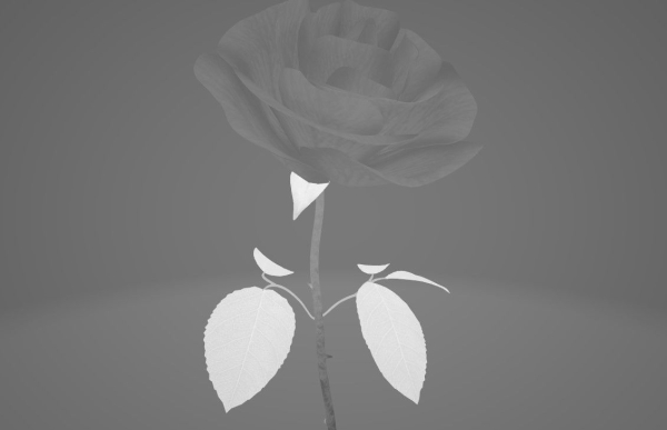 Red Rose