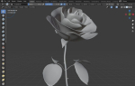 Red Rose