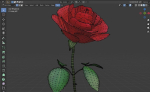 Red Rose