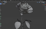 Red Rose