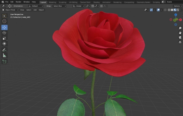 Red Rose