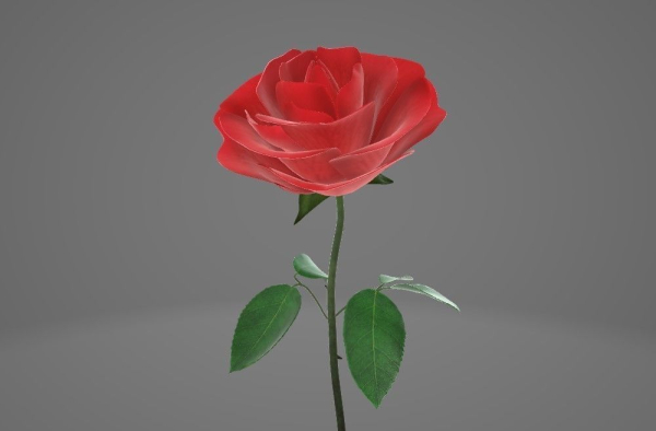 Red Rose
