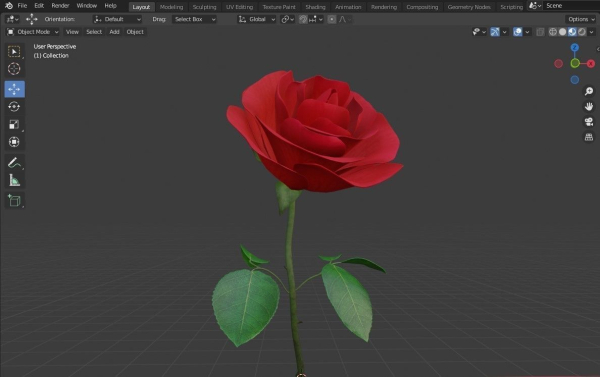 Red Rose