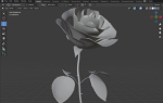 Red Rose