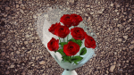 Red Rose flower bouquet