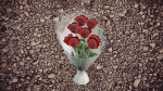 Red Rose flower bouquet