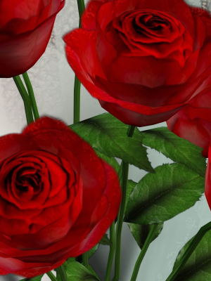 Red Rose flower bouquet