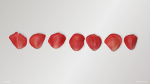 Red Rose Petals
