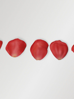 Red Rose Petals