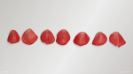 Red Rose Petals
