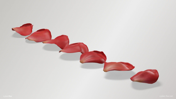Red Rose Petals
