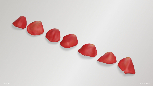 Red Rose Petals