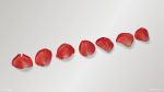Red Rose Petals