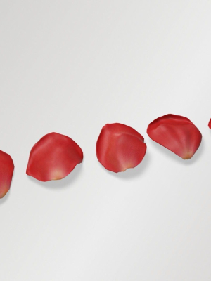 red-rose-petals-3d-model-788b465105