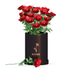 Red Rose Vase bunch of flowers collection 1 flower in the scene