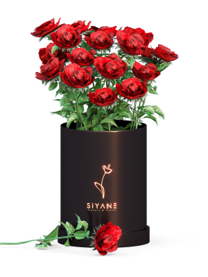 Red Rose Vase bunch of flowers collection 1 flower in the scene