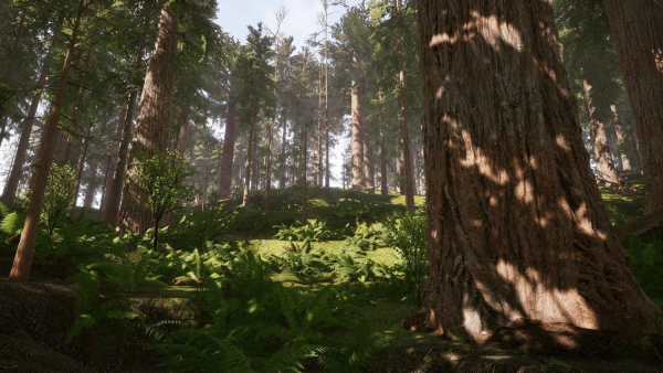 Redwood forest for game ready
