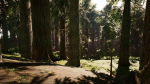 Redwood forest for game ready