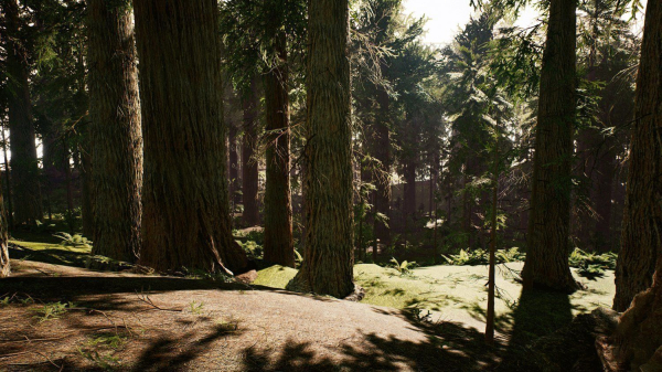 Redwood forest for game ready