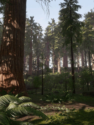 redwood-forest-for-game-ready-3d-model-27fac16a40