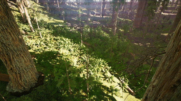 Redwood forest for game ready