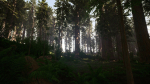 Redwood forest for game ready