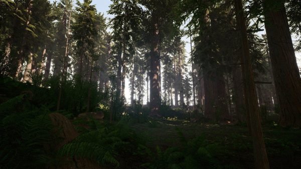 Redwood forest for game ready