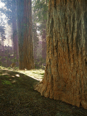 redwood-forest-for-game-ready-3d-model-low-poly-obj-fbx-uasset