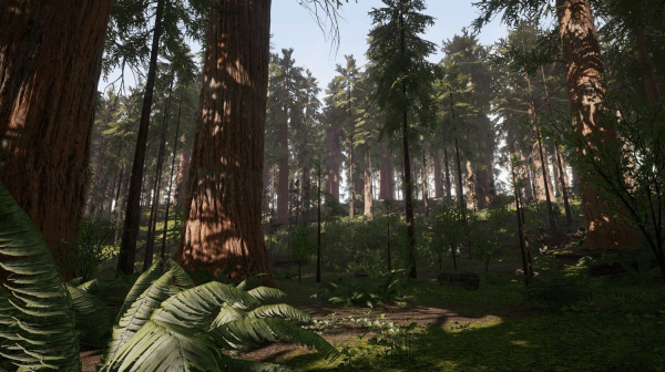 Redwood forest for game ready