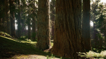 Redwood forest for game ready