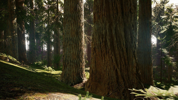 Redwood forest for game ready