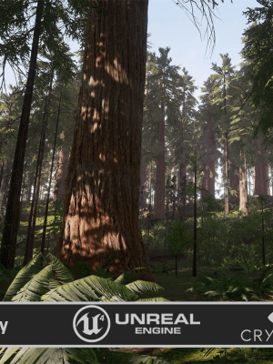 Redwood forest for game ready