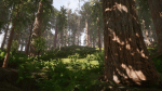 Redwood forest for game ready