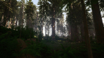 Redwood forest for game ready
