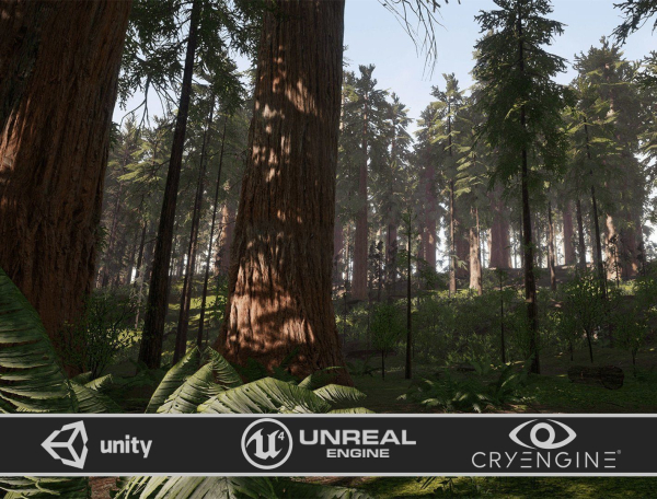 Redwood forest for game ready