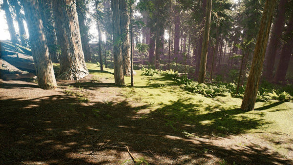 Redwood forest for game ready