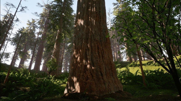 Redwood forest for game ready